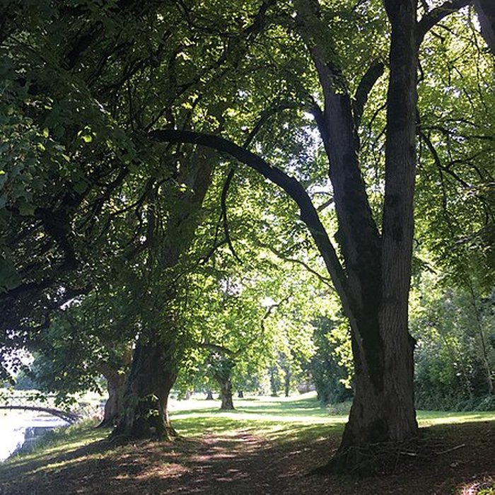Photo de Château de Cirey