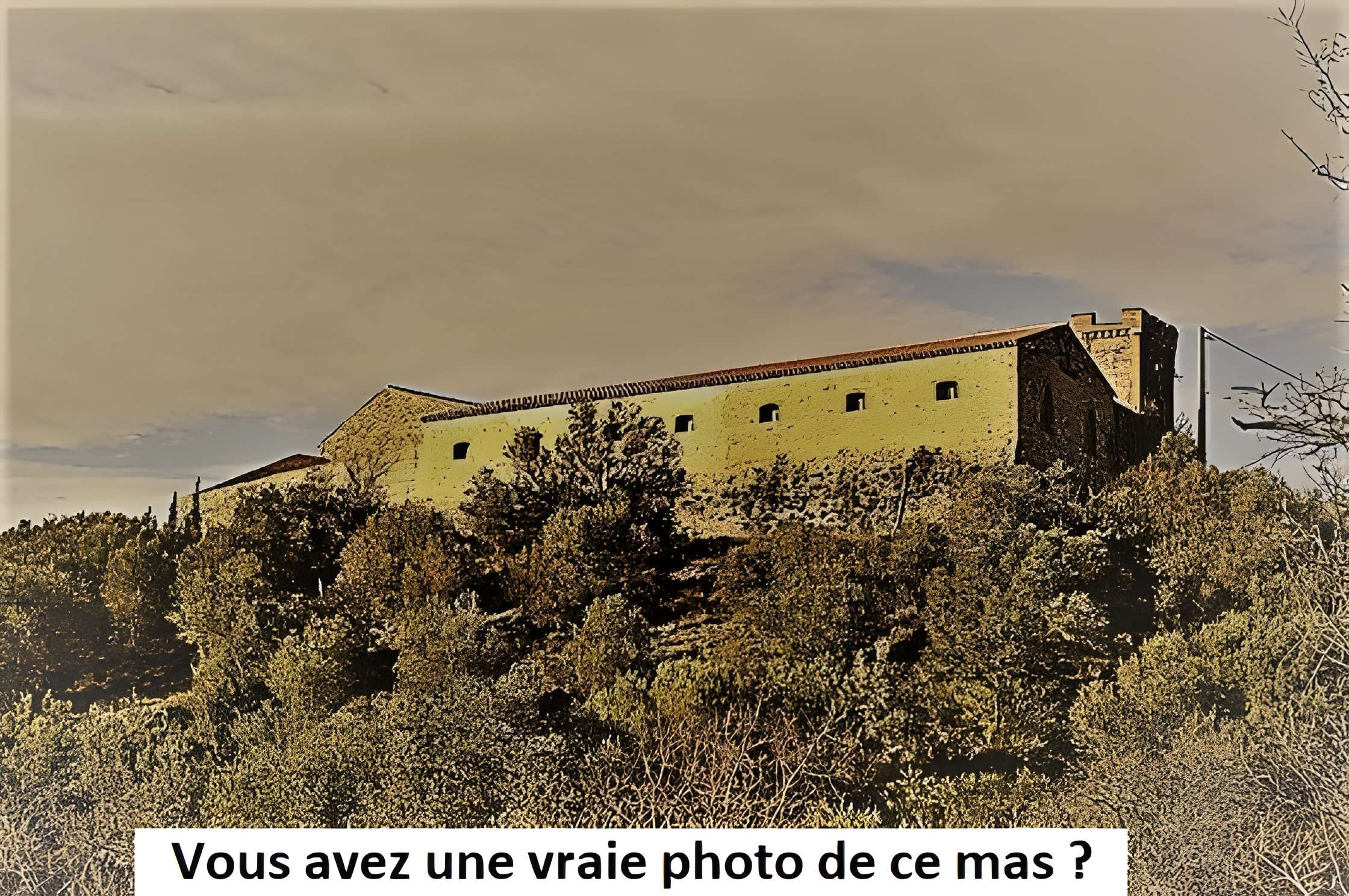 Mas du Bayle-Vert à Grans 