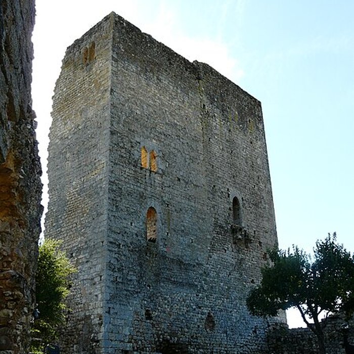 Photo de Château de Clérans