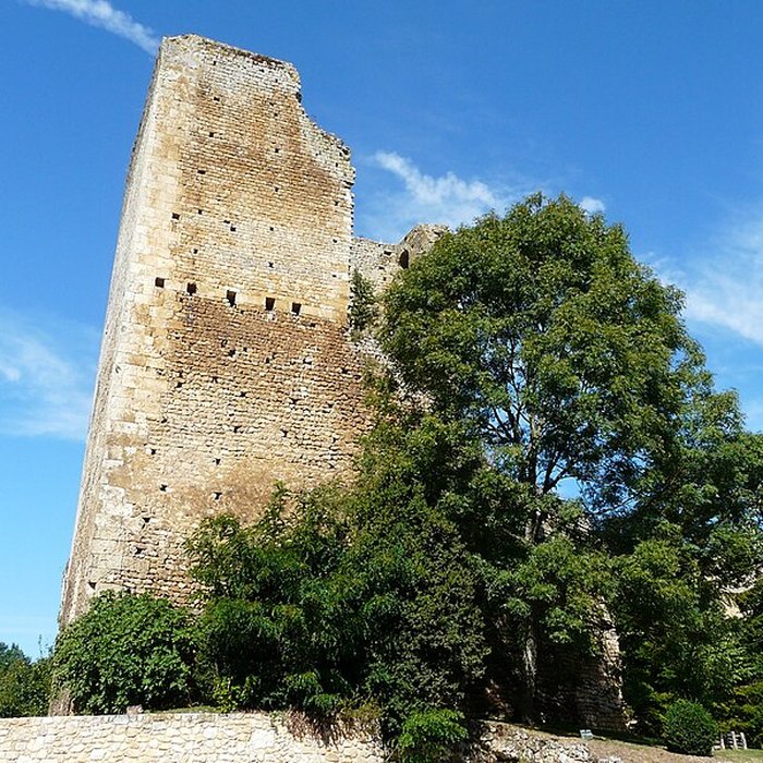 Photo de Château de Clérans