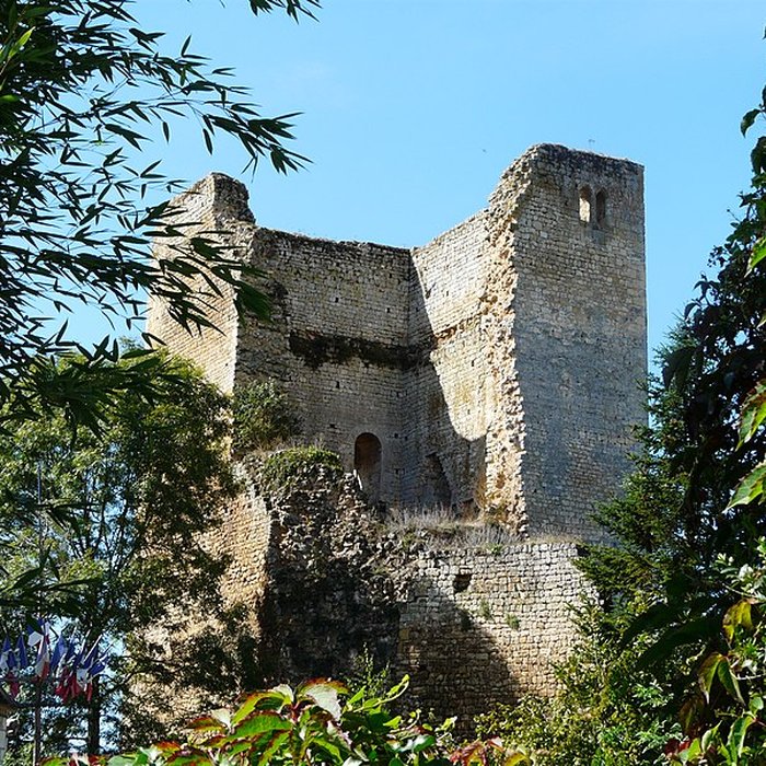 Photo de Château de Clérans