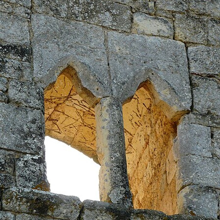 Photo de Château de Clérans