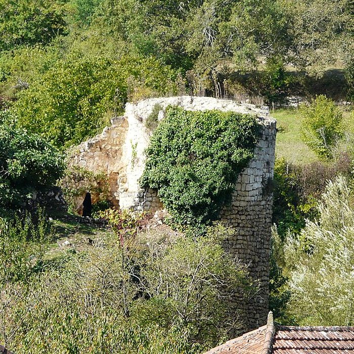 Photo de Château de Clérans