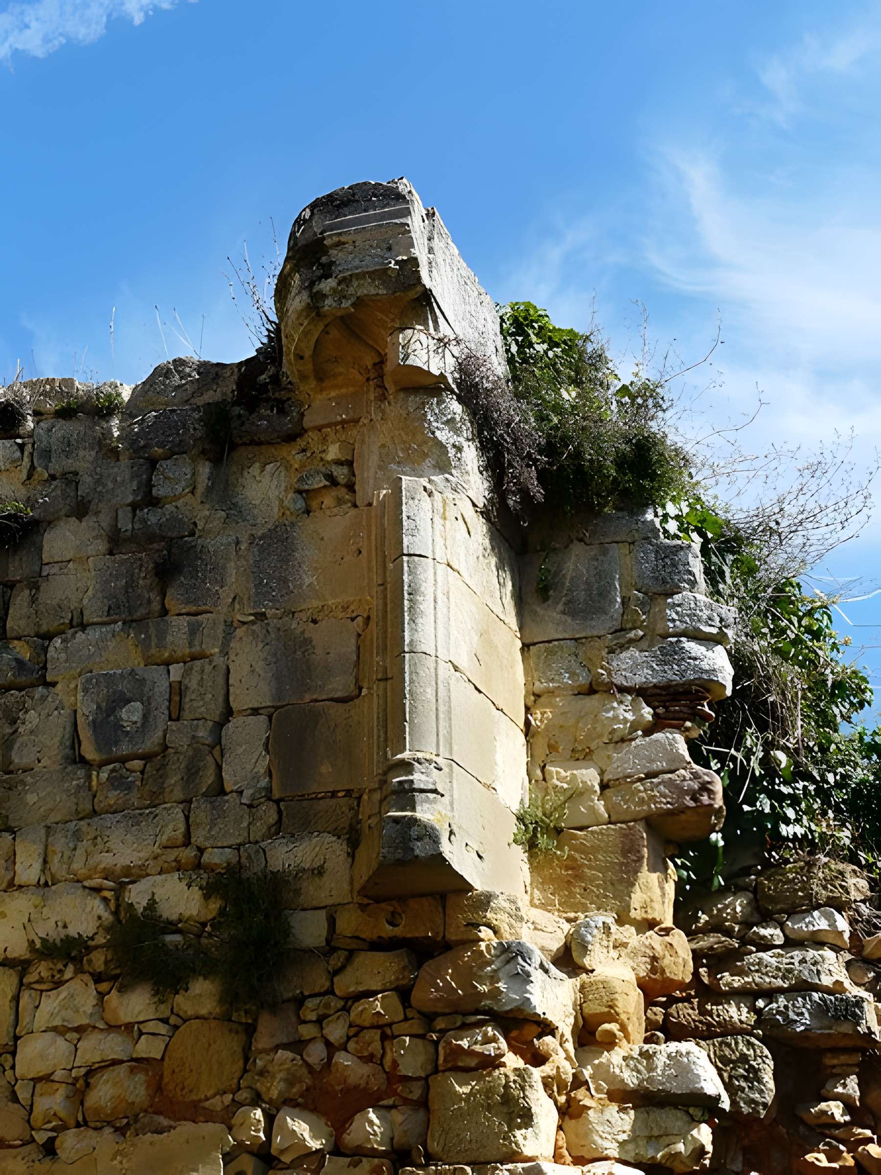 Château de Clérans