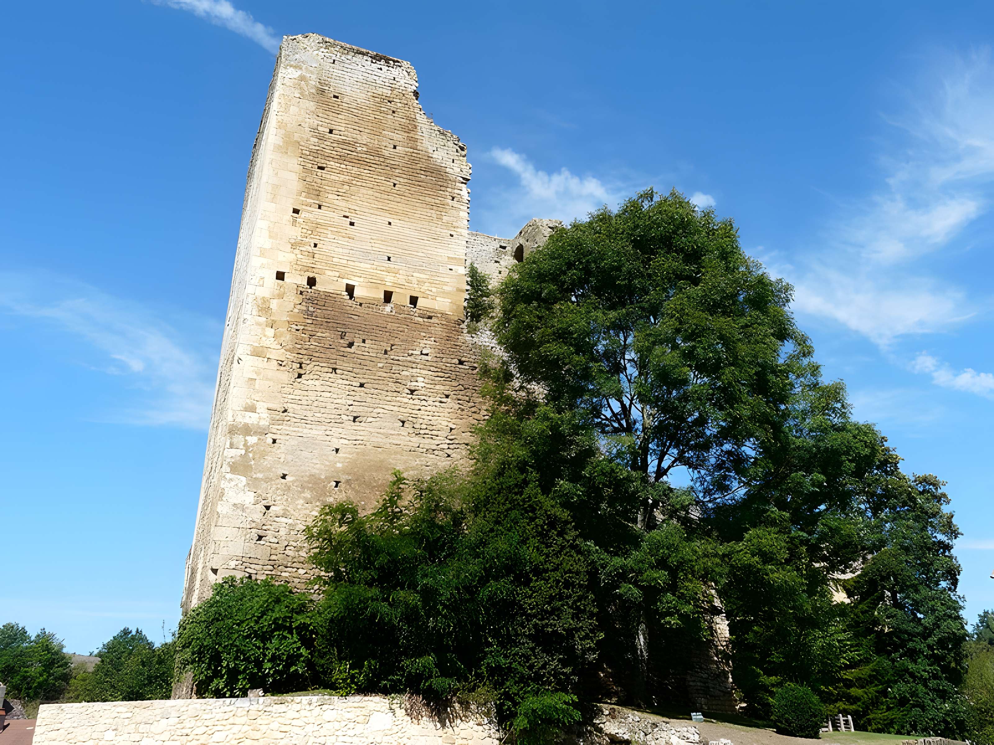 Château de Clérans
