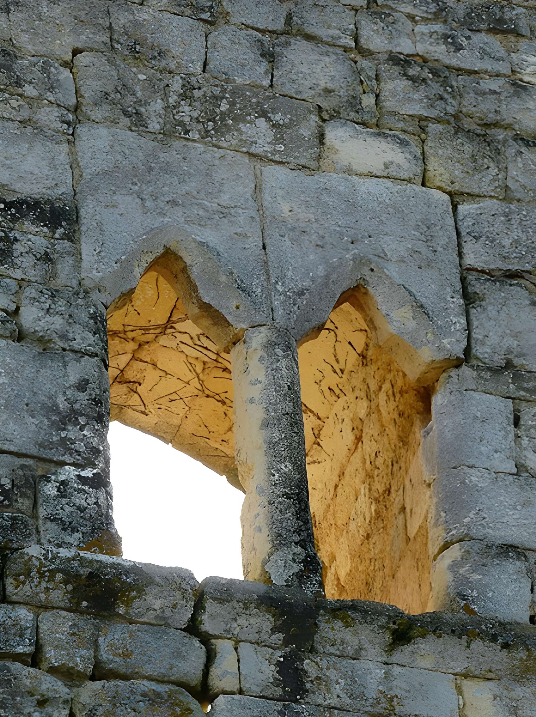 Château de Clérans