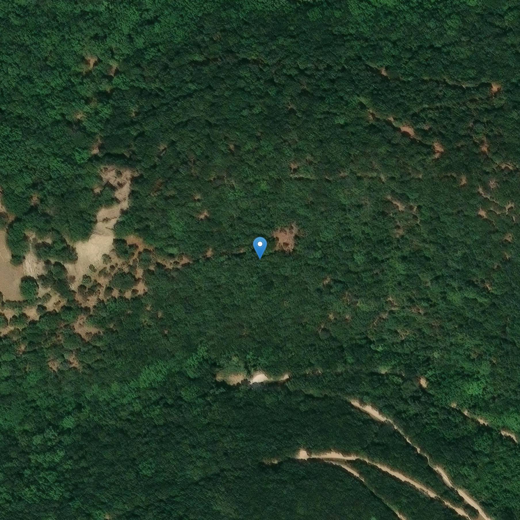 Photo de Mausoleo romano de Lodève