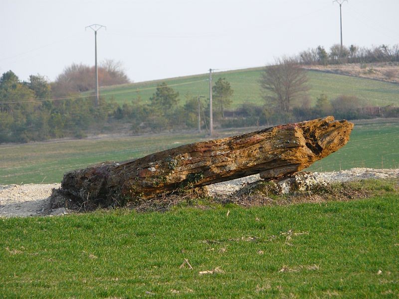 Photo de Mégalithe des Coutoux de Valeuil