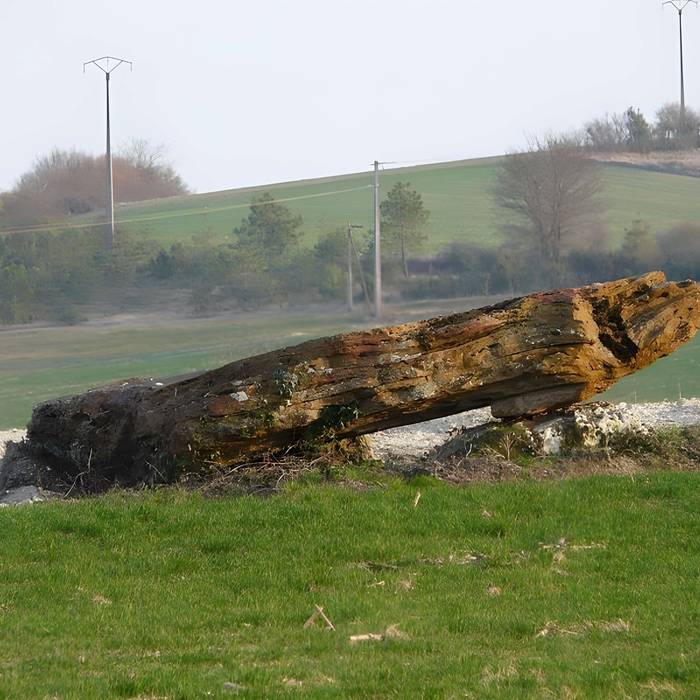 Photo de Mégalithe des Coutoux de Valeuil