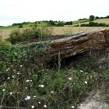 Mégalithe des Coutoux de Valeuil