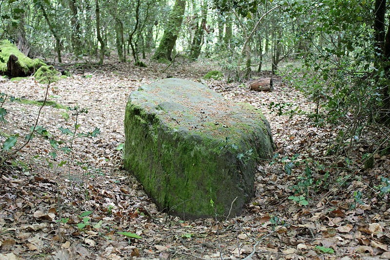 Photo de Mégalithe dit Grès de Saint-Méen à Talensac
