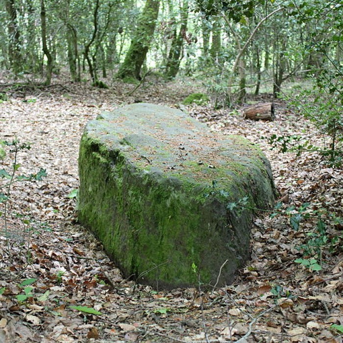 Photo de Mégalithe dit Grès de Saint-Méen à Talensac