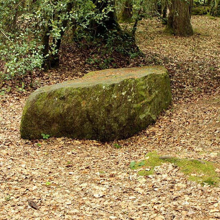 Photo de Mégalithe dit Grès de Saint-Méen à Talensac