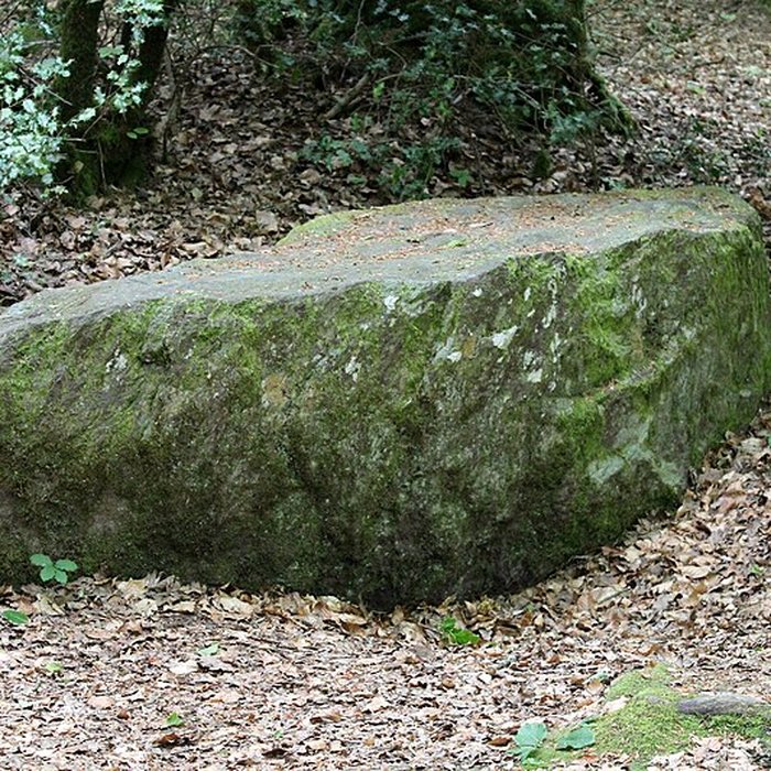 Photo de Mégalithe dit Grès de Saint-Méen à Talensac