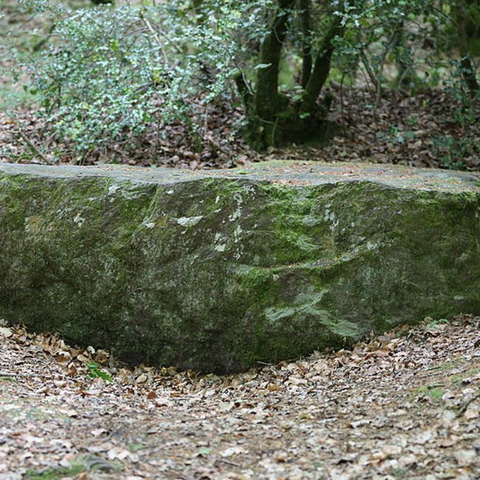 Photo de Mégalithe dit Grès de Saint-Méen à Talensac