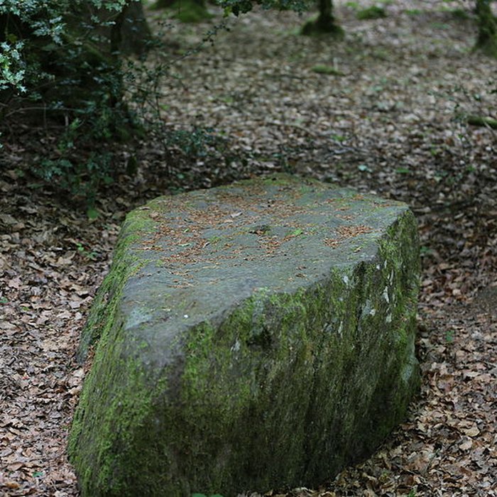 Photo de Mégalithe dit Grès de Saint-Méen à Talensac