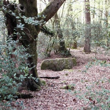 Mégalithe dit Grès de Saint-Méen à Talensac