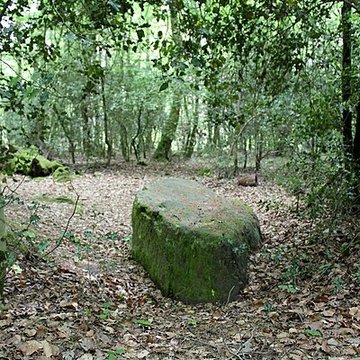 Mégalithe dit Grès de Saint-Méen à Talensac