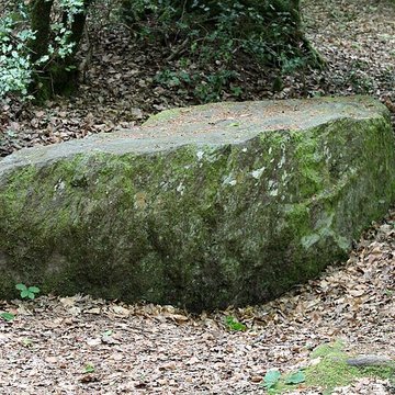 Mégalithe dit Grès de Saint-Méen à Talensac