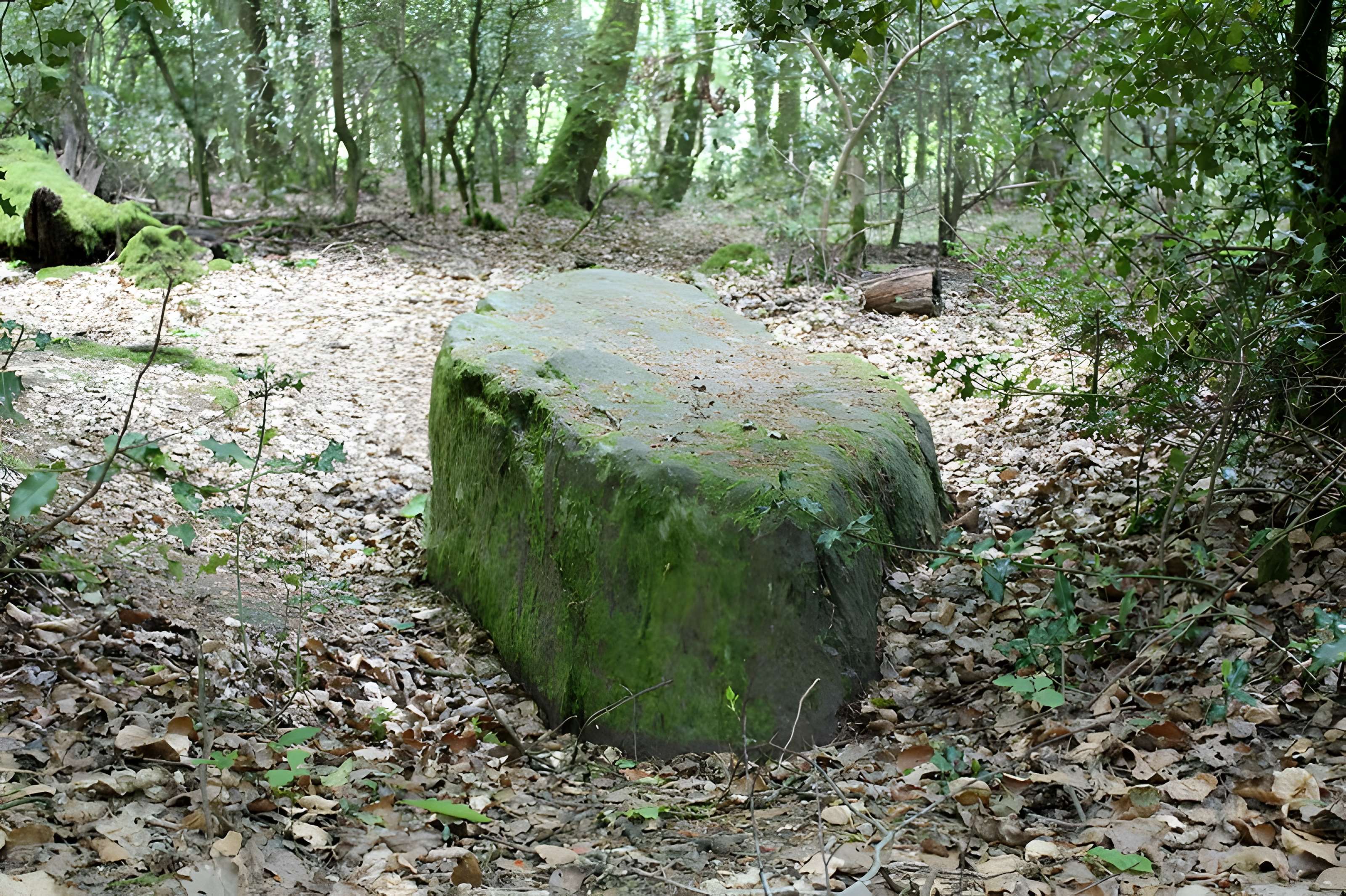 Mégalithe dit Grès de Saint-Méen à Talensac 
