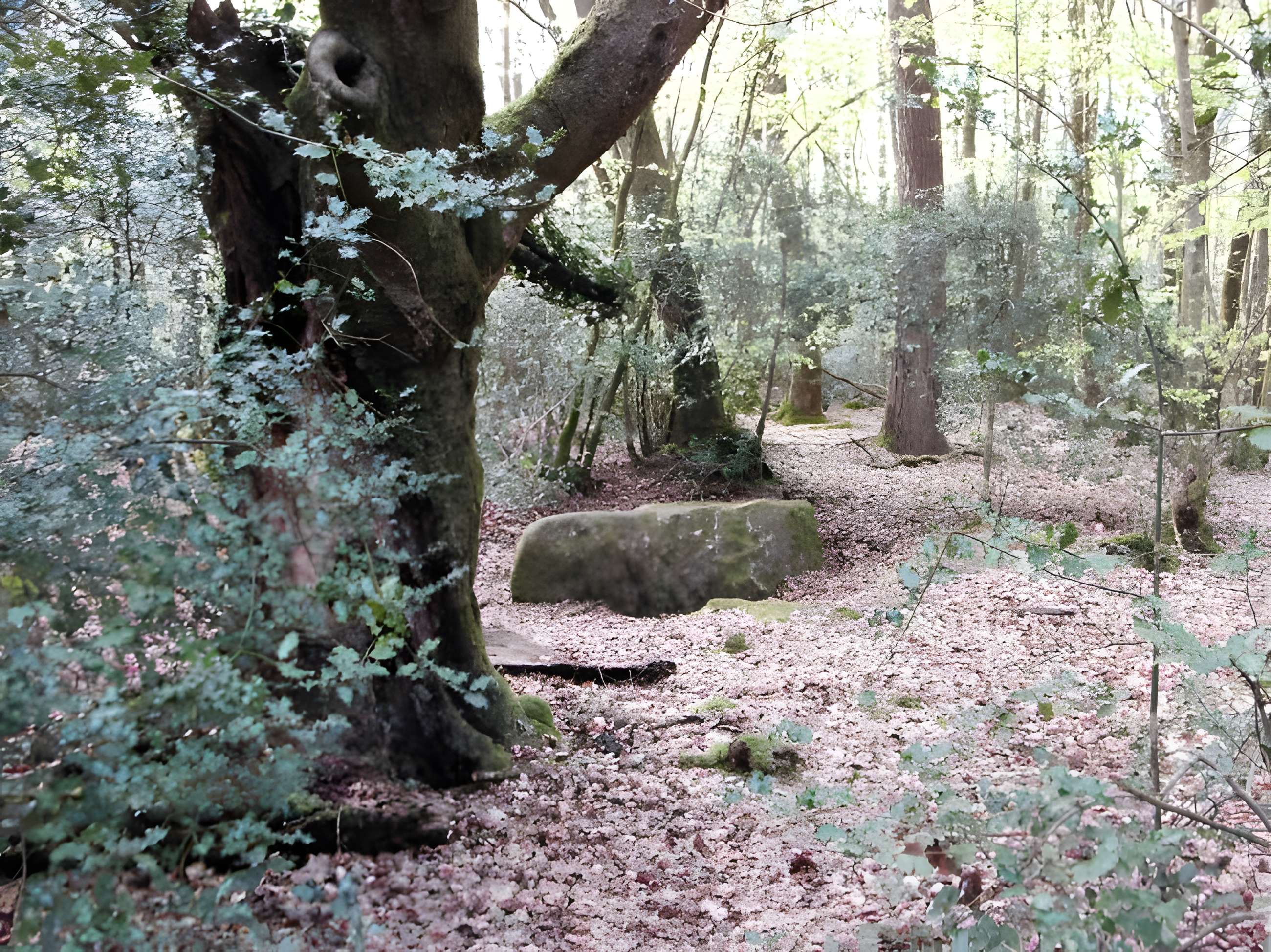 Mégalithe dit Grès de Saint-Méen à Talensac