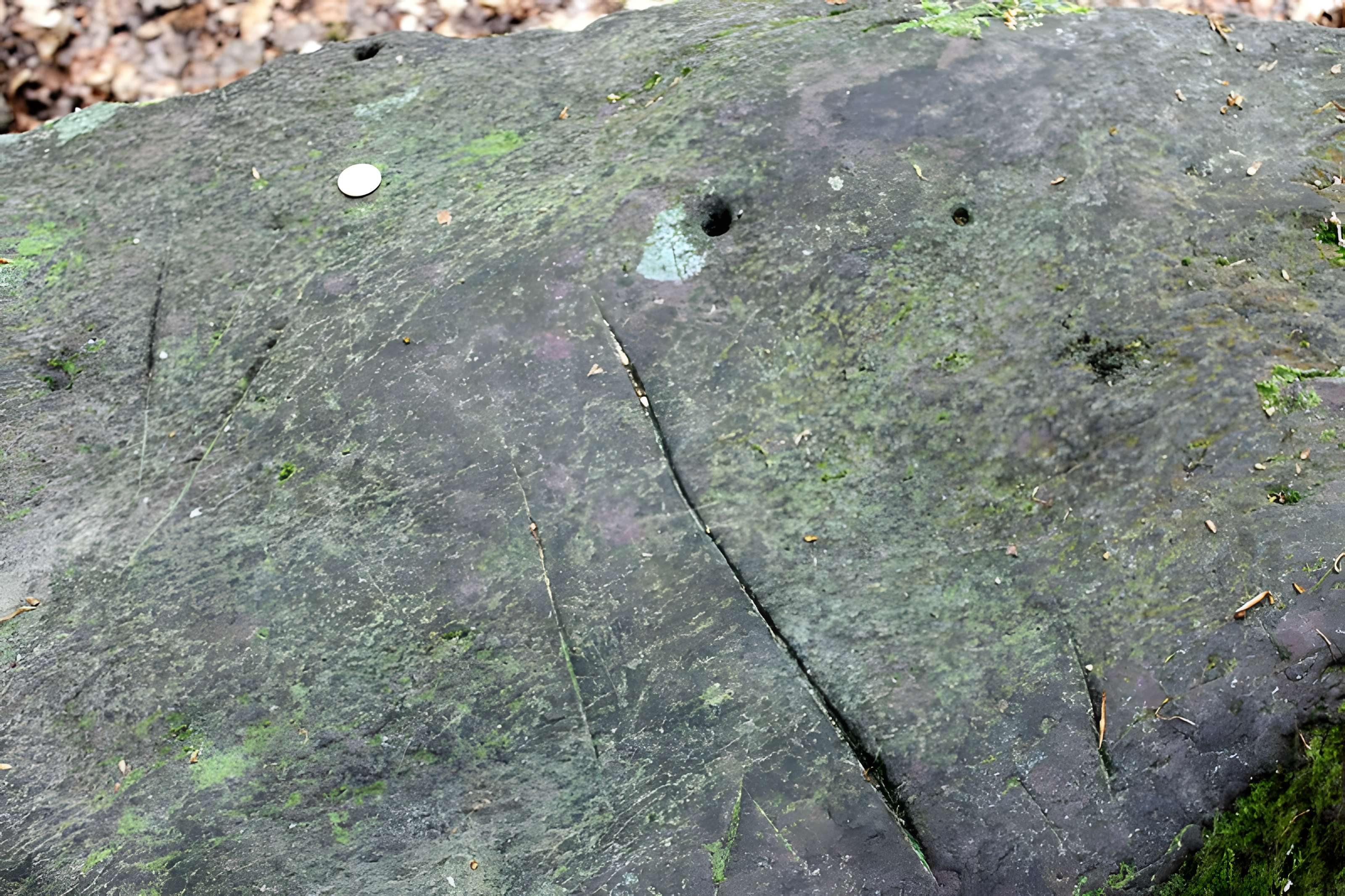 Mégalithe dit Grès de Saint-Méen à Talensac