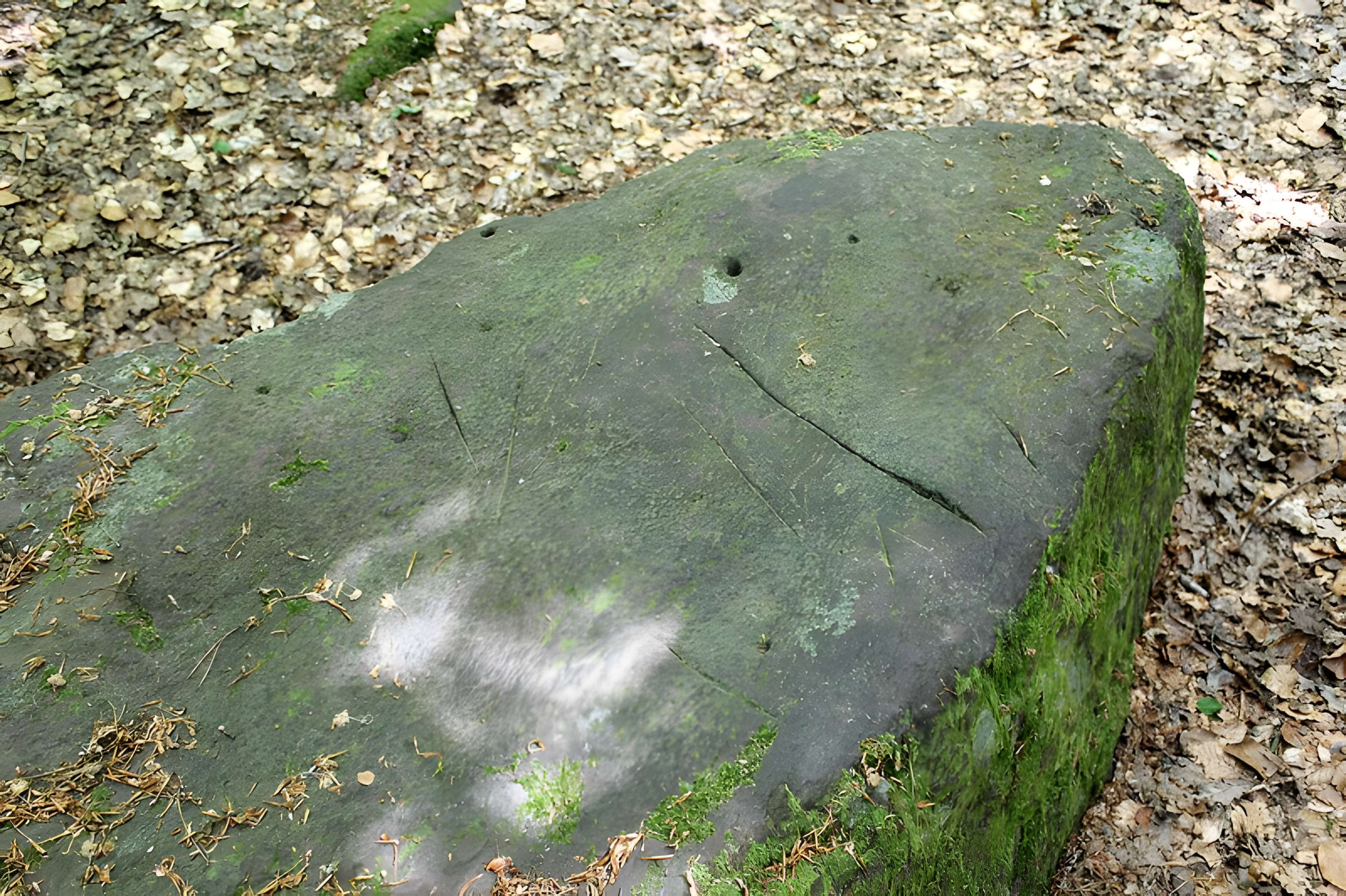 Mégalithe dit Grès de Saint-Méen à Talensac