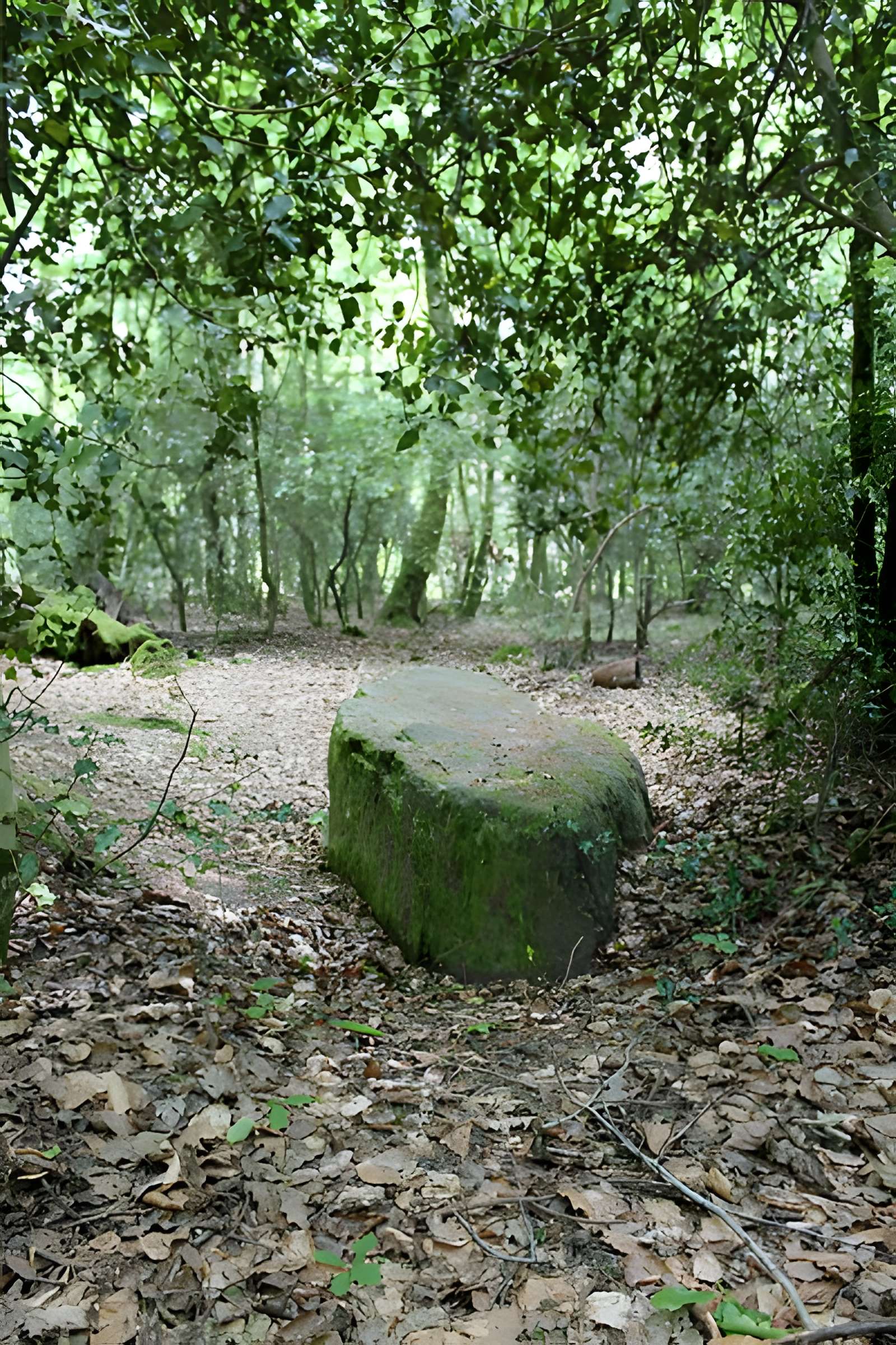 Mégalithe dit Grès de Saint-Méen à Talensac