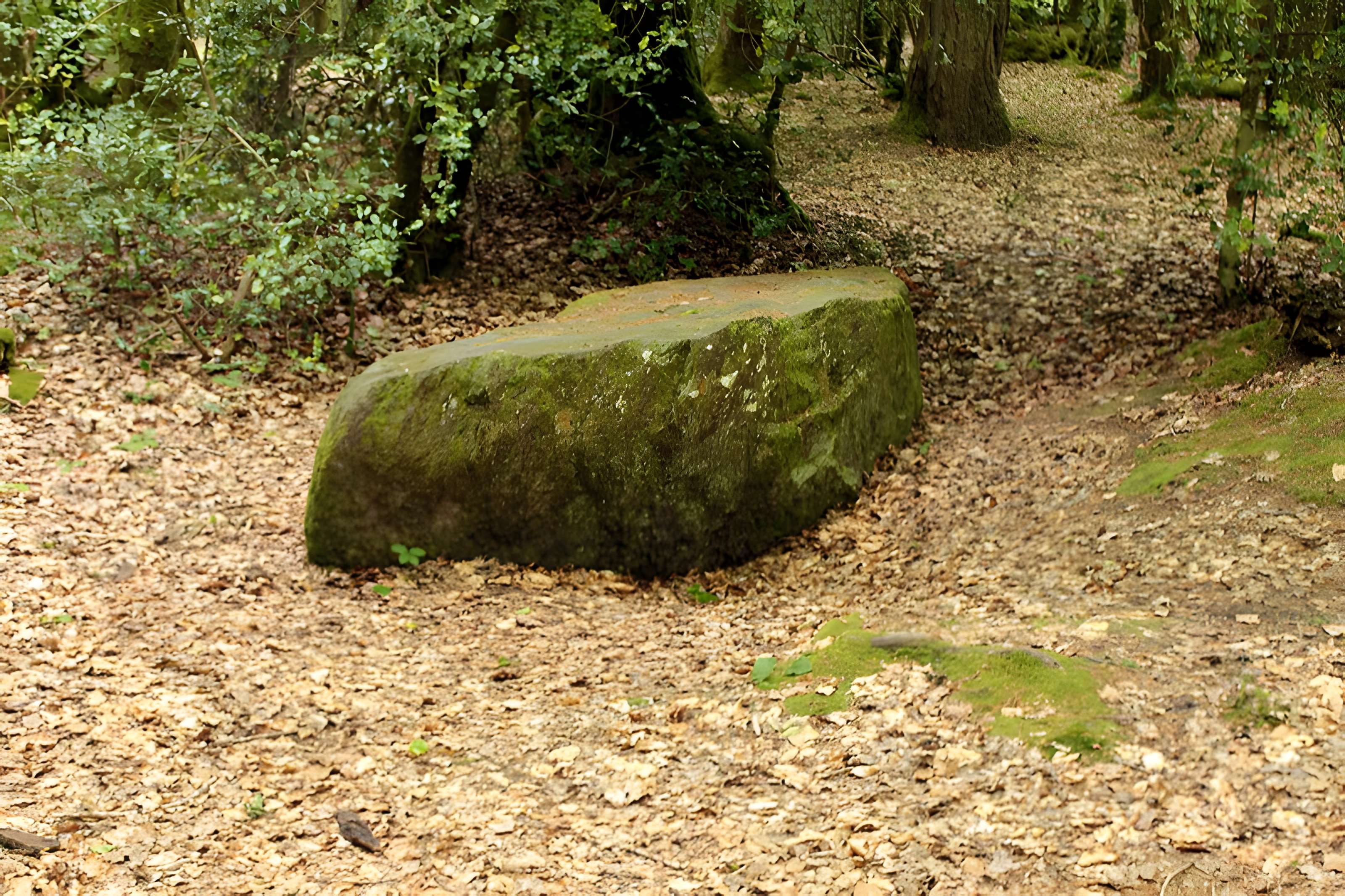 Mégalithe dit Grès de Saint-Méen à Talensac