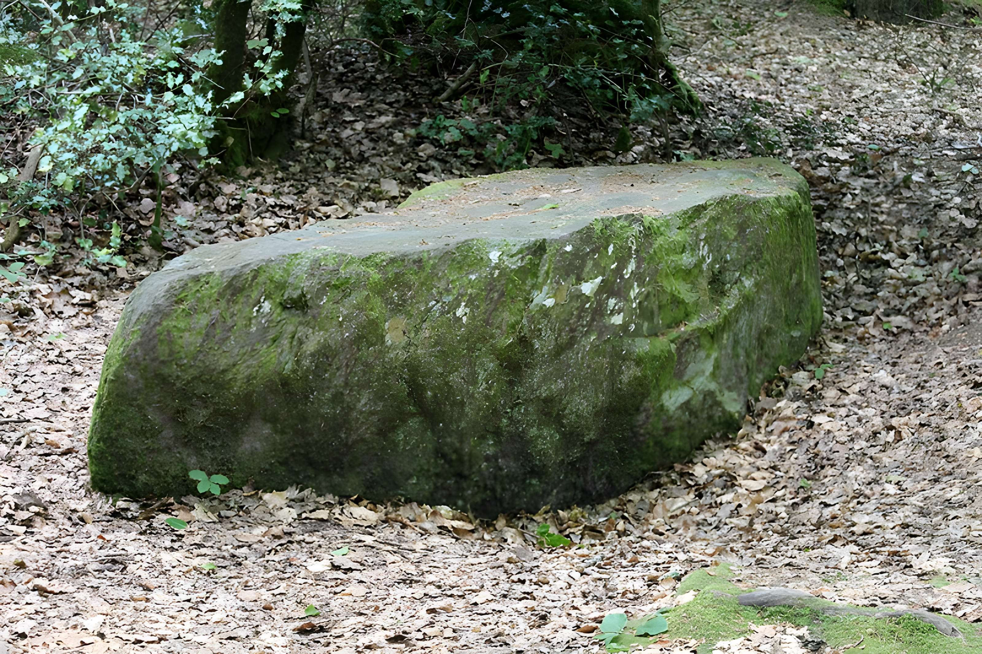 Mégalithe dit Grès de Saint-Méen à Talensac