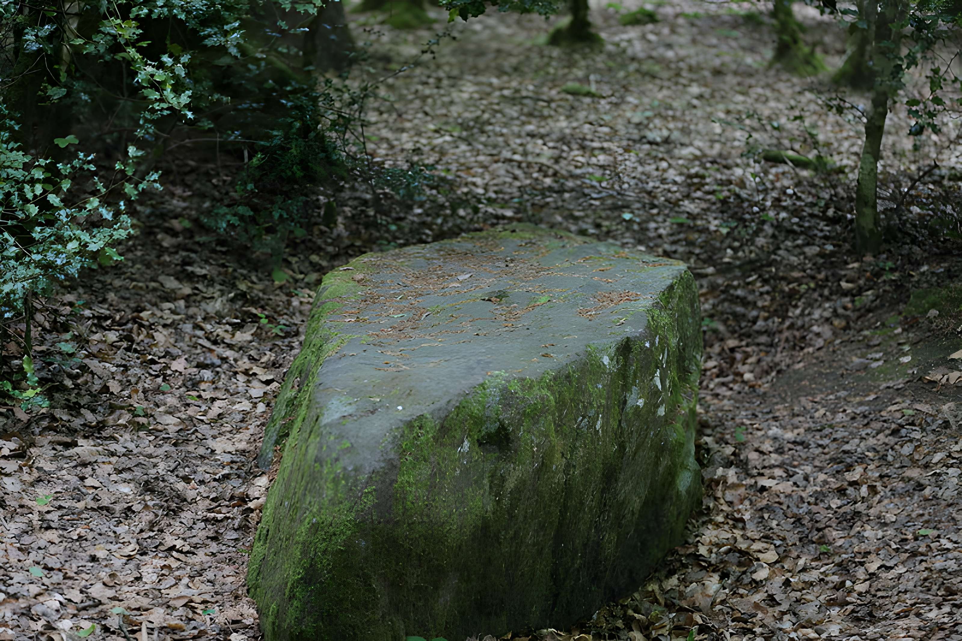 Mégalithe dit Grès de Saint-Méen à Talensac