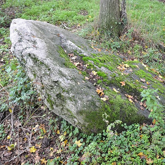 Photo de Menhir à cupules Menhir de Coicas