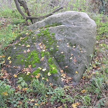 menhir a cupules (menhir de coicas)