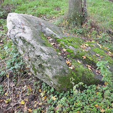 Menhir à cupules Menhir de Coicas