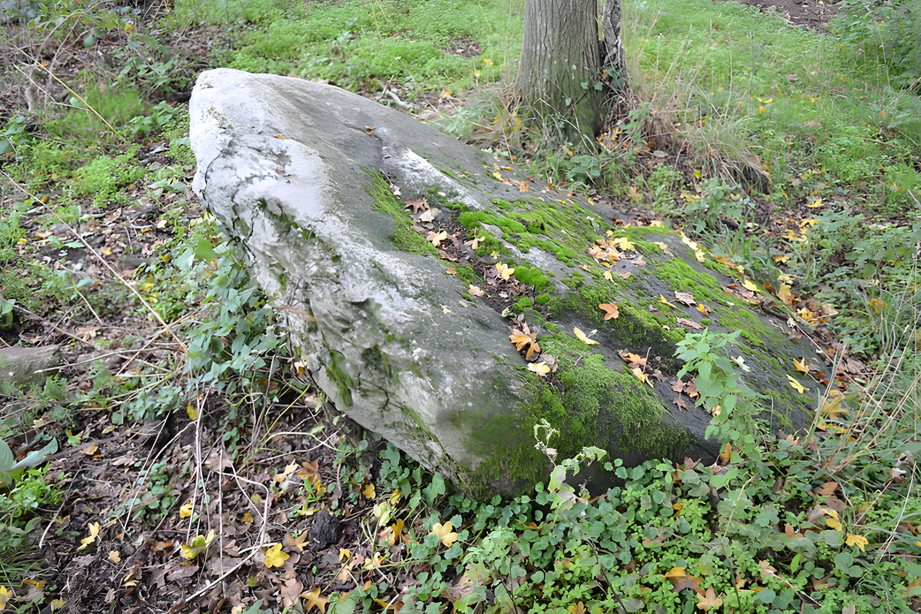 Menhir à cupules (Menhir de Coicas)