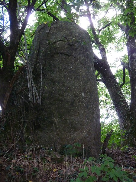 Photo de Menhir de Bodquelen à Canihuel