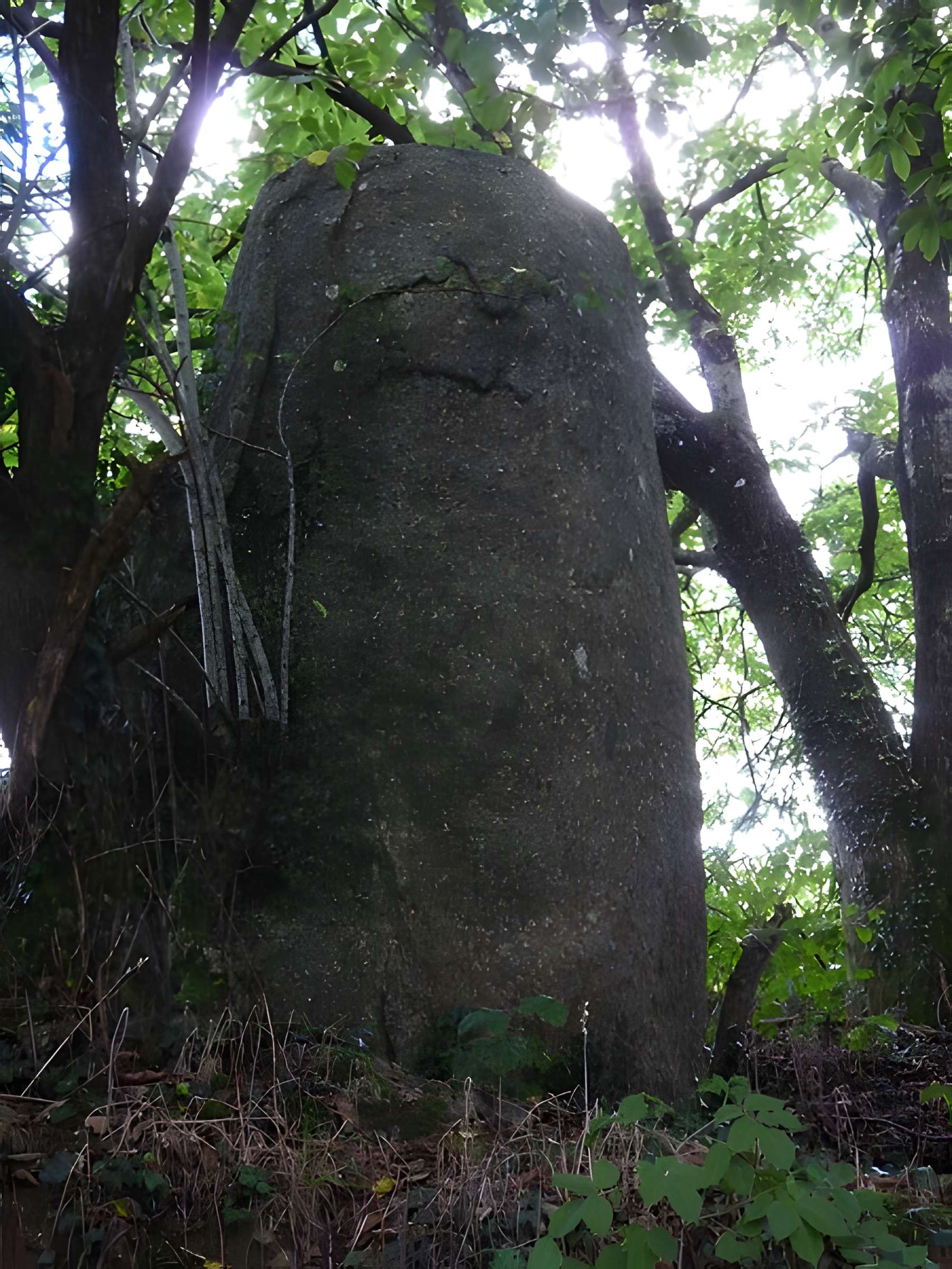 Menhir de Bodquelen à Canihuel