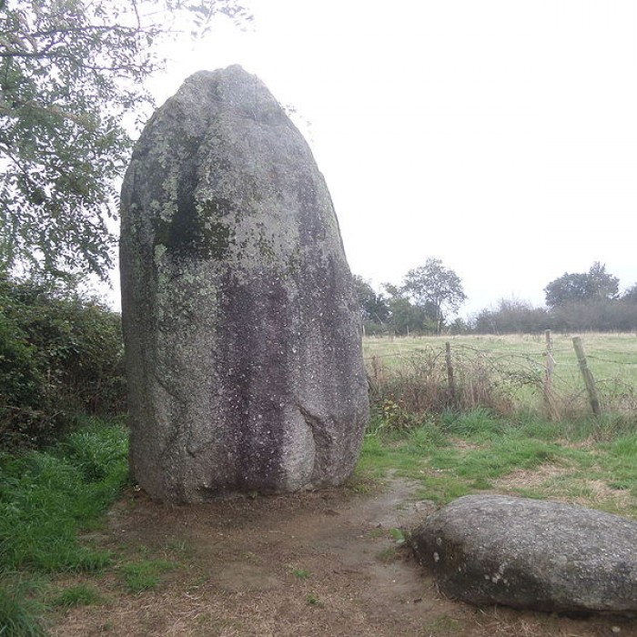 Photo de Menhir de Bourg-Jardin à Avrillé