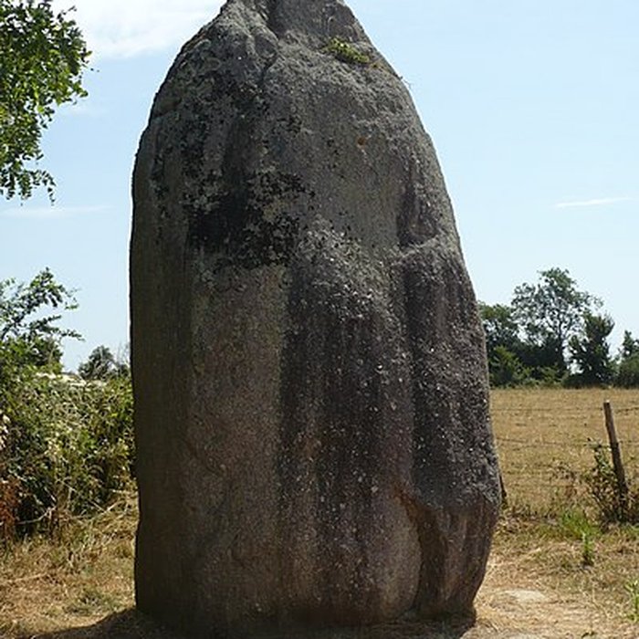 Photo de Menhir de Bourg-Jardin à Avrillé