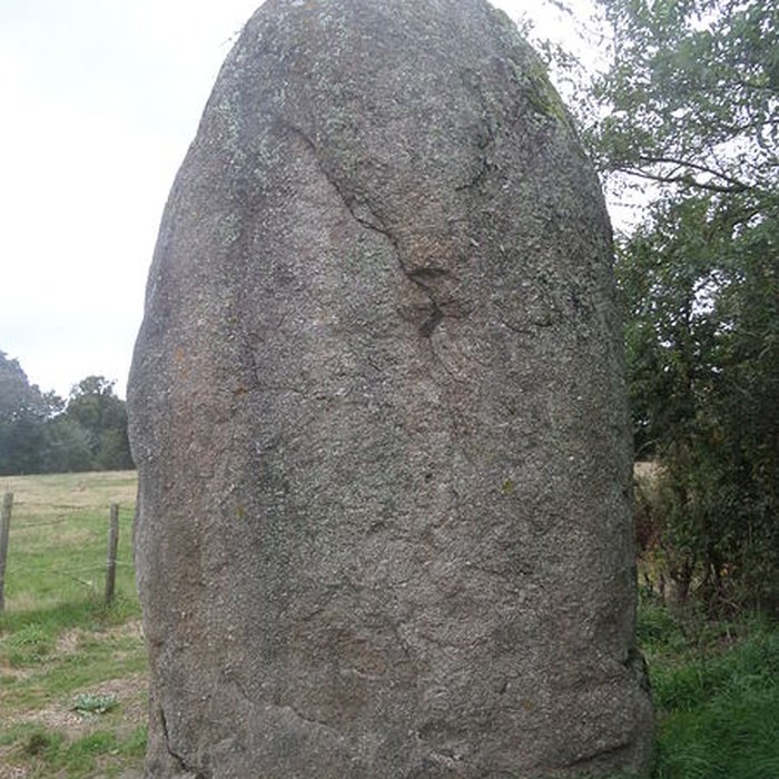 Photo de Menhir de Bourg-Jardin à Avrillé