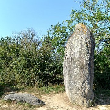 Menhir de Bourg-Jardin à Avrillé