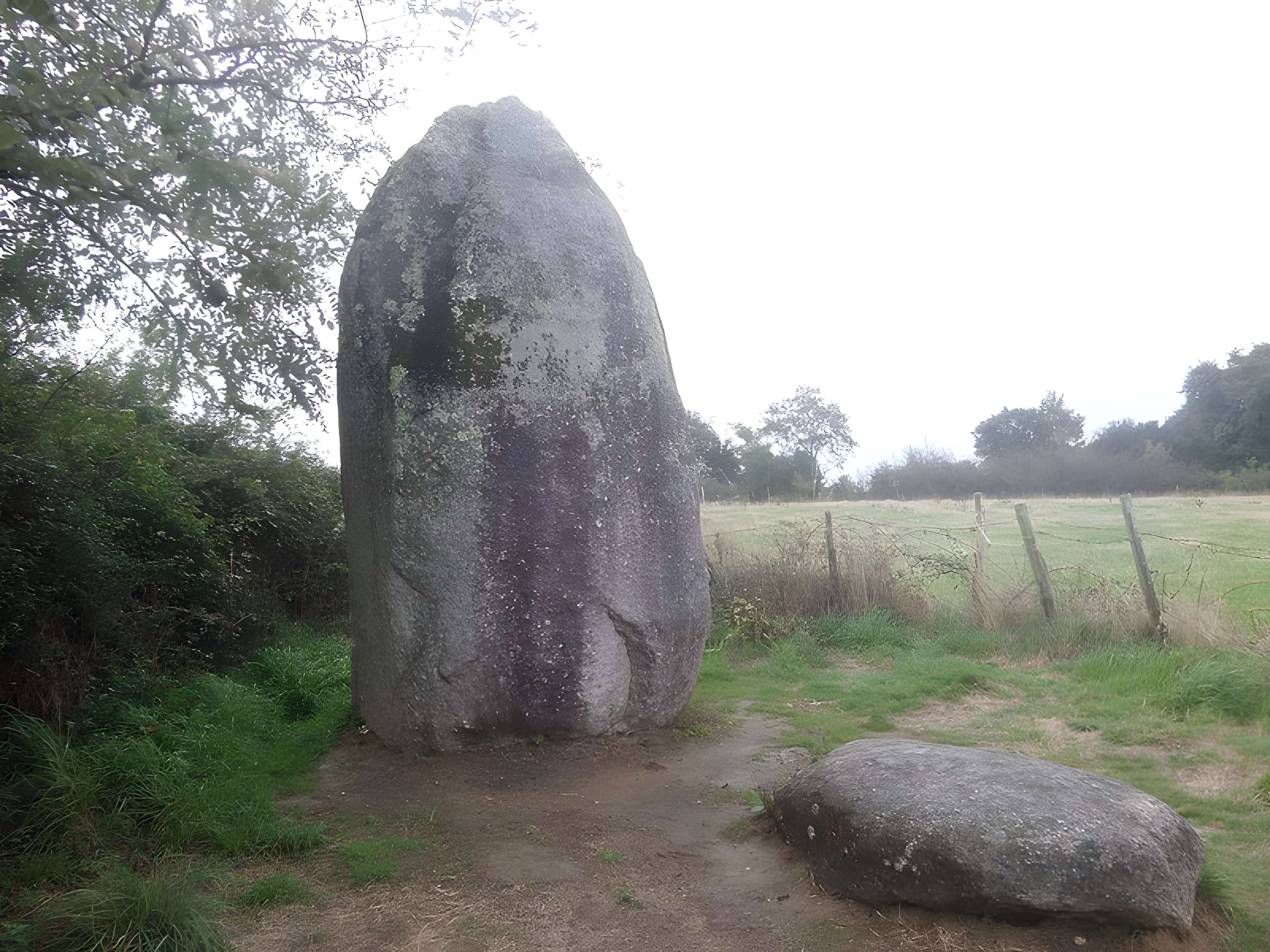 Menhir de Bourg-Jardin à Avrillé 