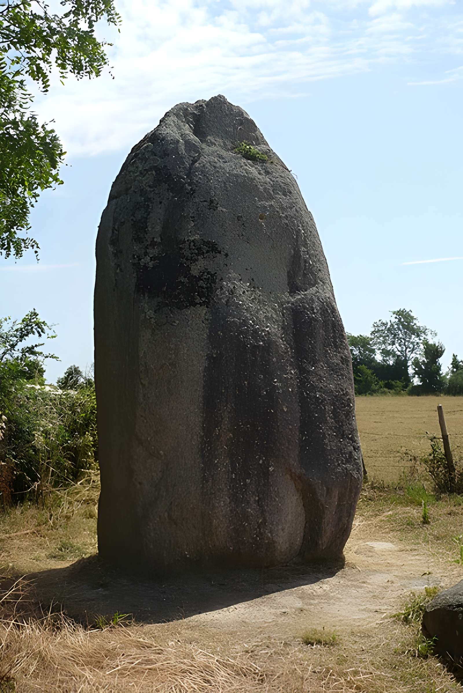 Menhir de Bourg-Jardin à Avrillé