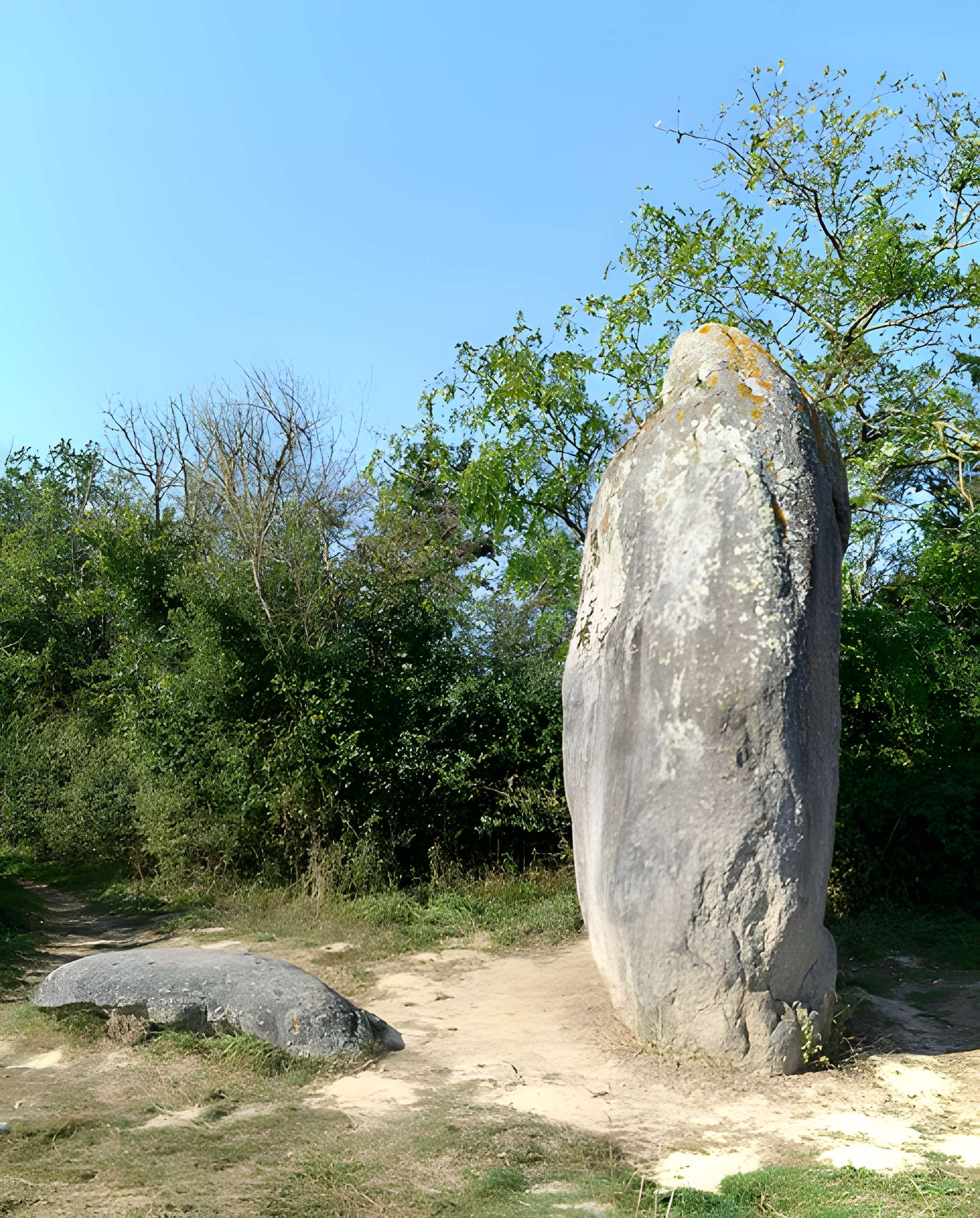 Menhir de Bourg-Jardin à Avrillé