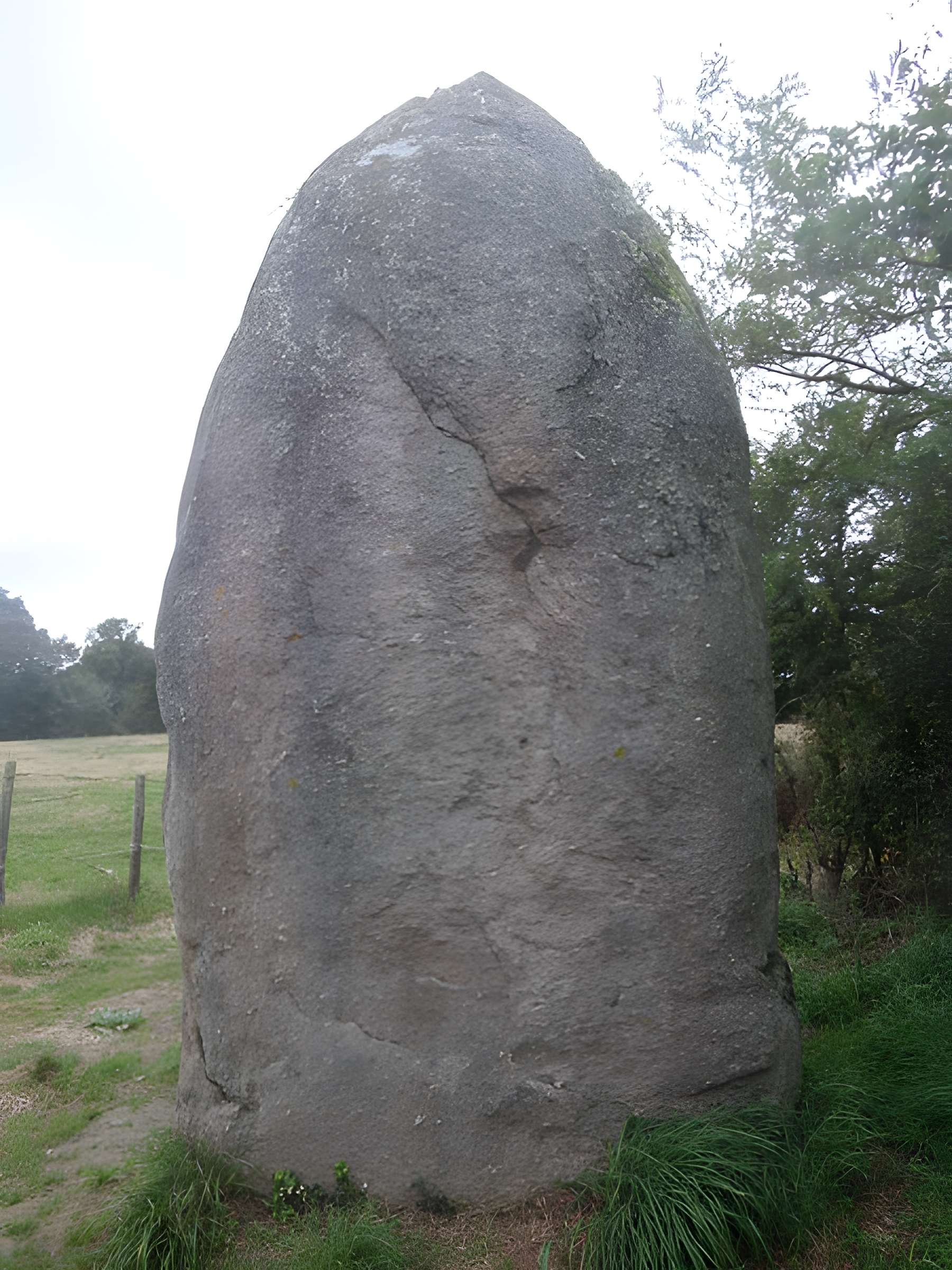 Menhir de Bourg-Jardin à Avrillé