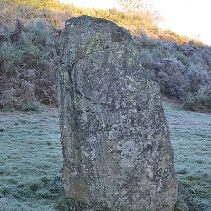 Photo de Menhir de Bréau au Fief-Sauvin