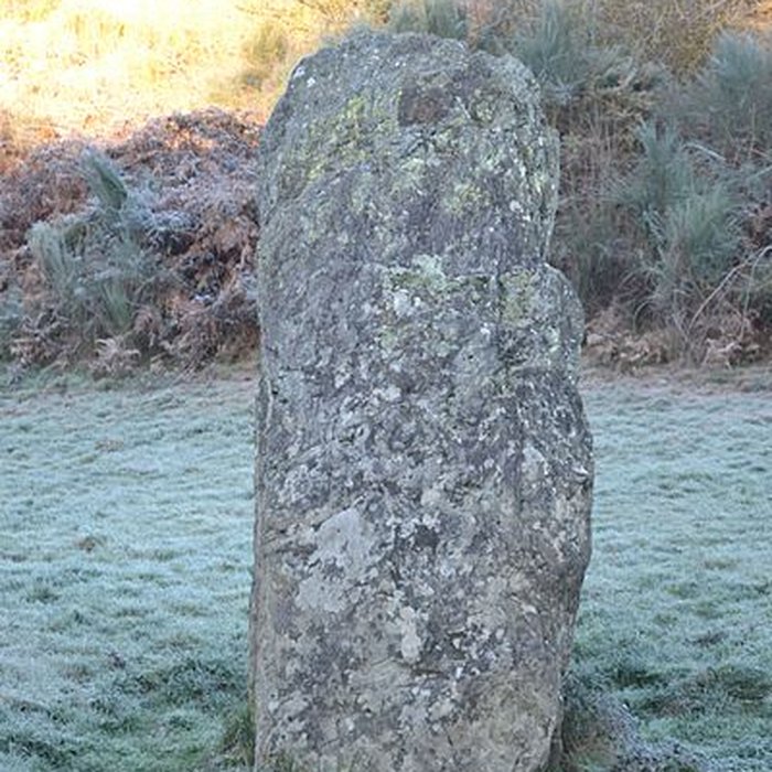 Photo de Menhir de Bréau au Fief-Sauvin