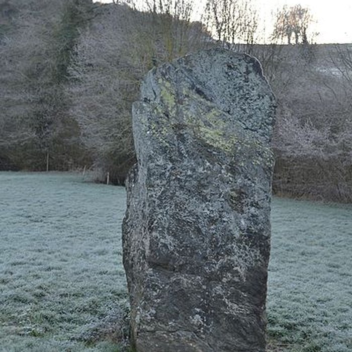 Photo de Menhir de Bréau au Fief-Sauvin