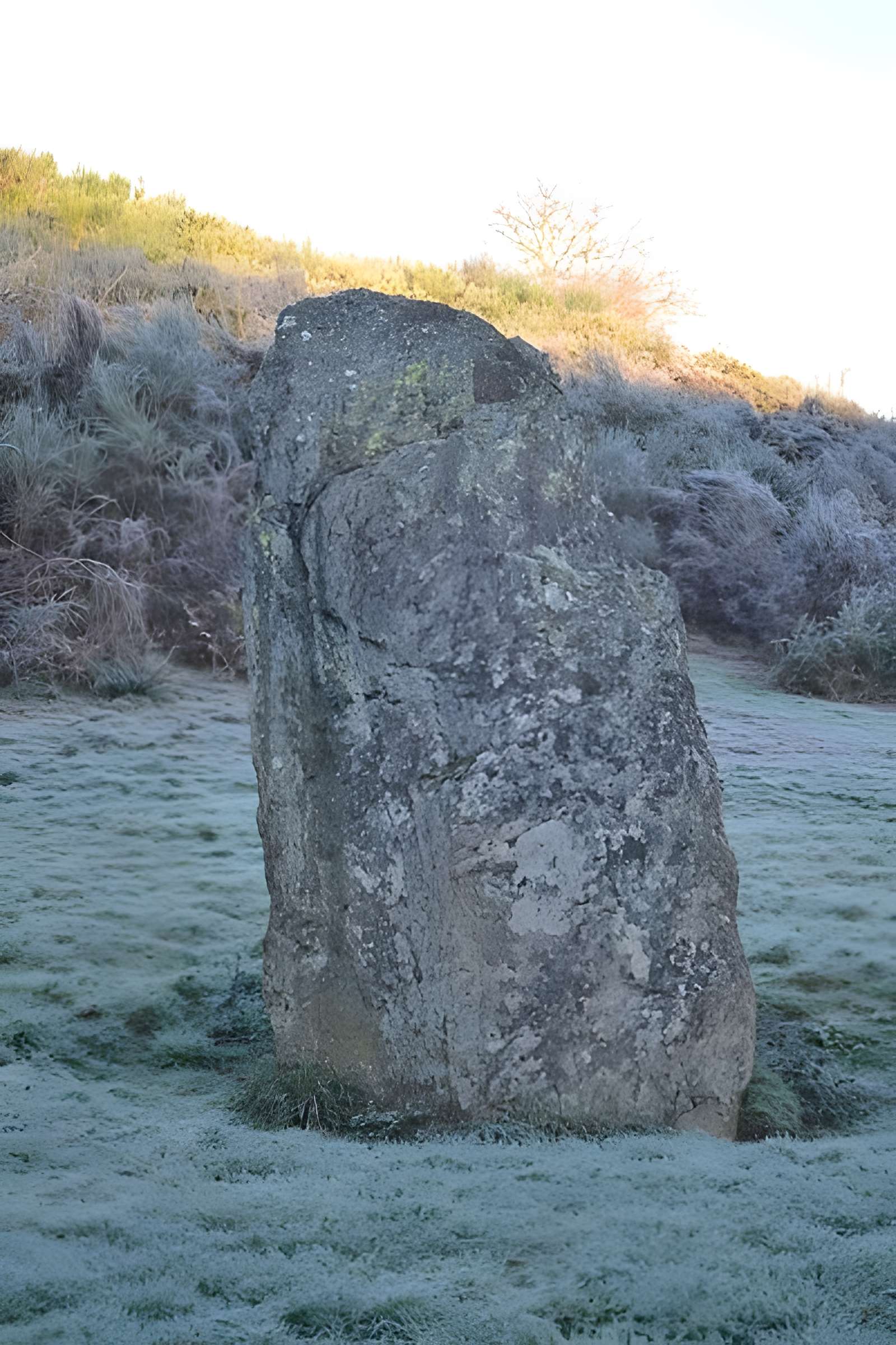 Menhir de Bréau au Fief-Sauvin 
