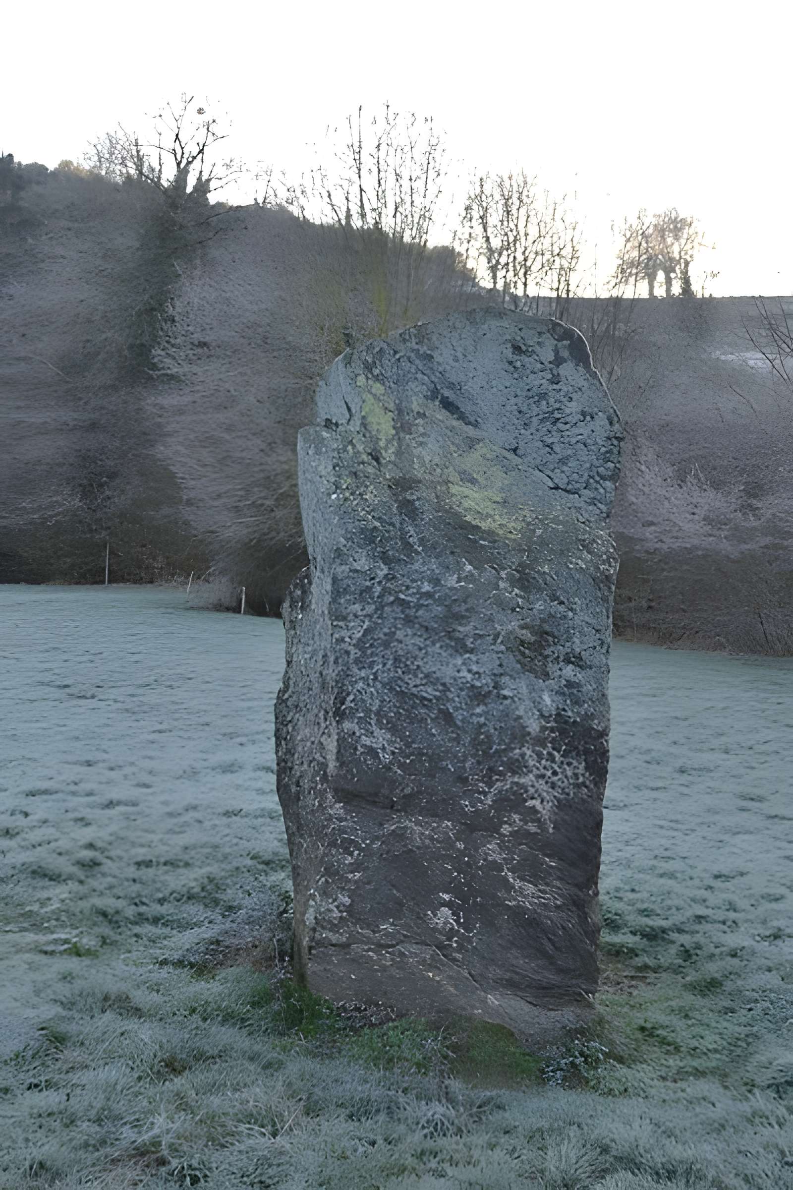 Menhir de Bréau au Fief-Sauvin